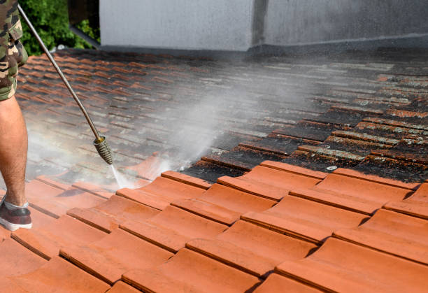 Roof Power Washing Services in Enfield, NC